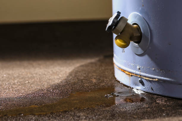 Best Local water damage restoration  in San Angelo, TX