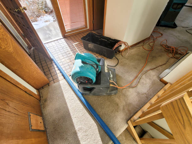 Best Sewage cleanup and water damage restoration  in San Angelo, TX