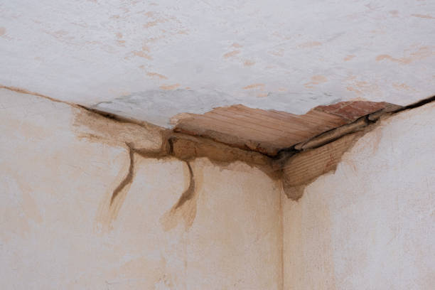 Water damage restoration mold remediation in San Angelo, TX