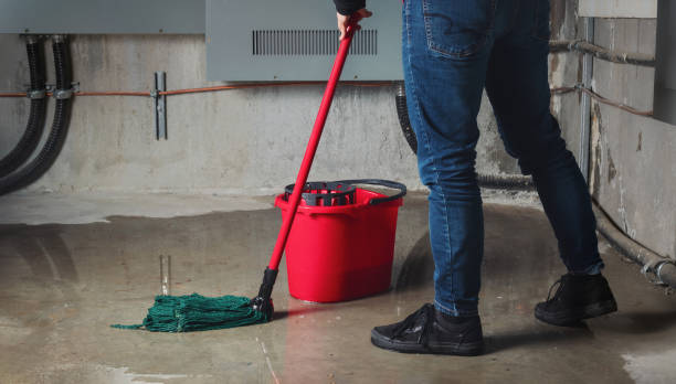 Best Local water damage restoration  in San Angelo, TX