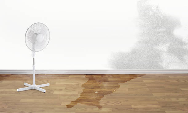 Best Flood damage cleanup  in San Angelo, TX