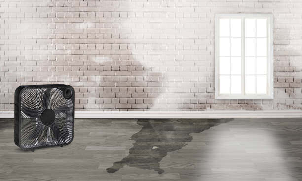 Best Water damage restoration near me  in San Angelo, TX
