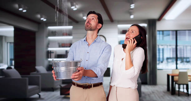 Best Local water damage restoration  in San Angelo, TX
