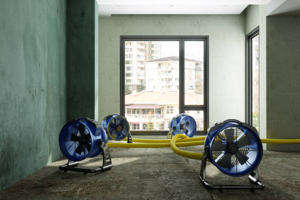 Professional Water damage restoration in San Angelo, TX