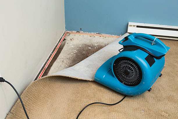 Best Water damage restoration near me  in San Angelo, TX